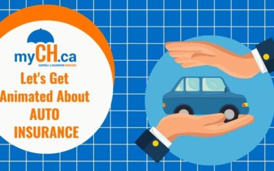MyCh.ca Gets Animated About Auto Insurance in Regina