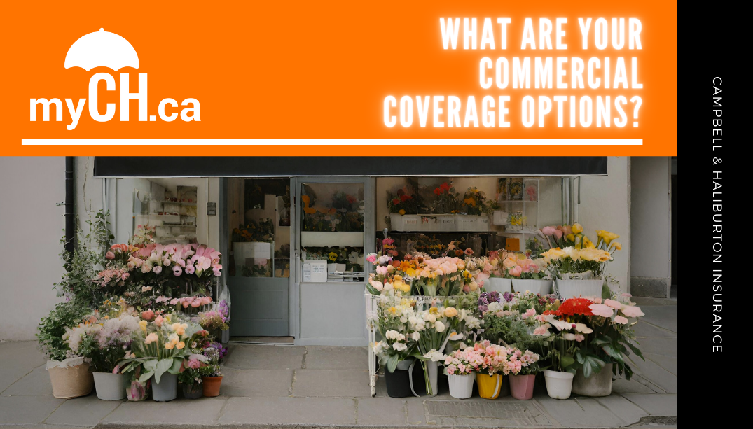 What Are Your Commercial Coverage Options?