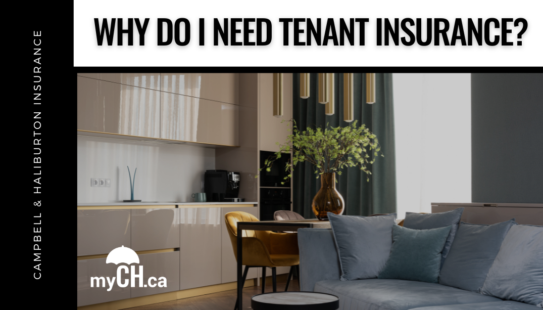 Why Do I Need Tenant Insurance?