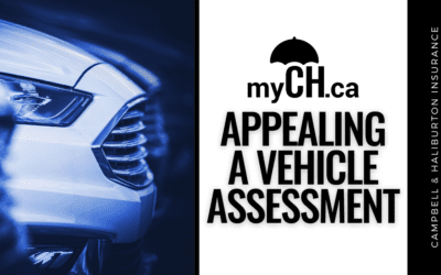 Appealing A Vehicle Assessment