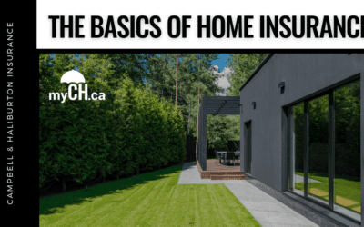 The Basics of Home Insurance