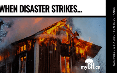 When Disaster Strikes