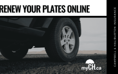 Renew Your Plates Online