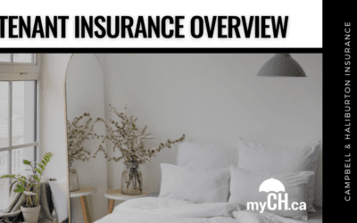 Tenant Insurance Overview
