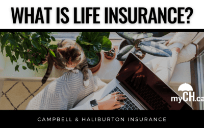 What is Life Insurance?